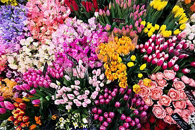 《地狱潜者2》销量破百万 Steam好评率增至75%